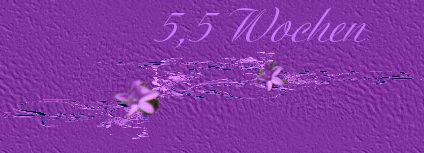 5,5 w1