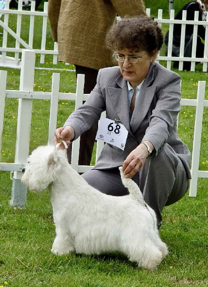 Mitch von hinten i