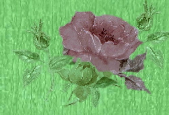 rose103