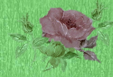 rose103