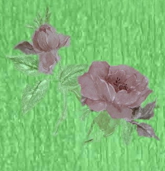 rose302