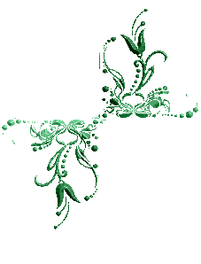 schnrgel1